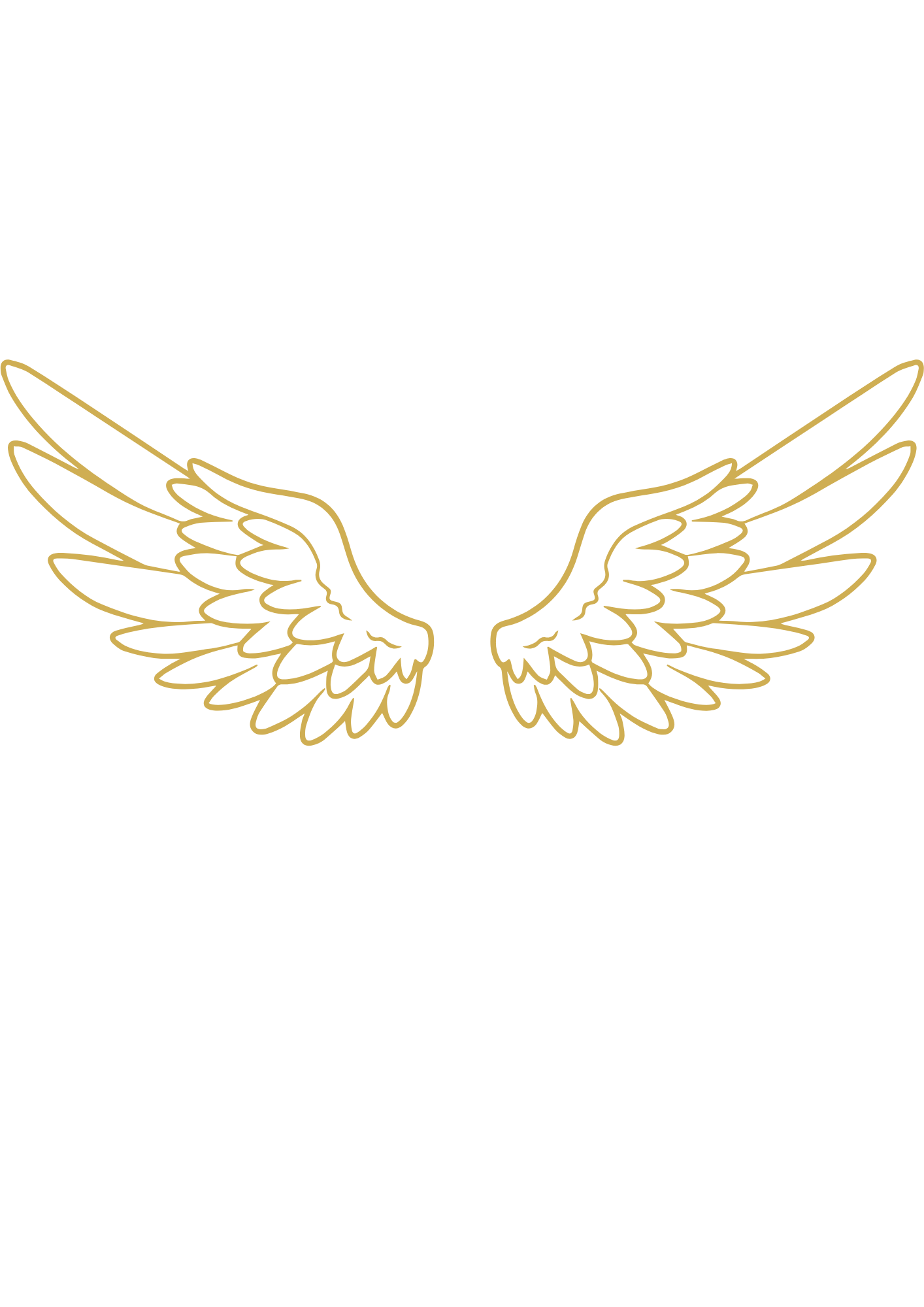 ailes