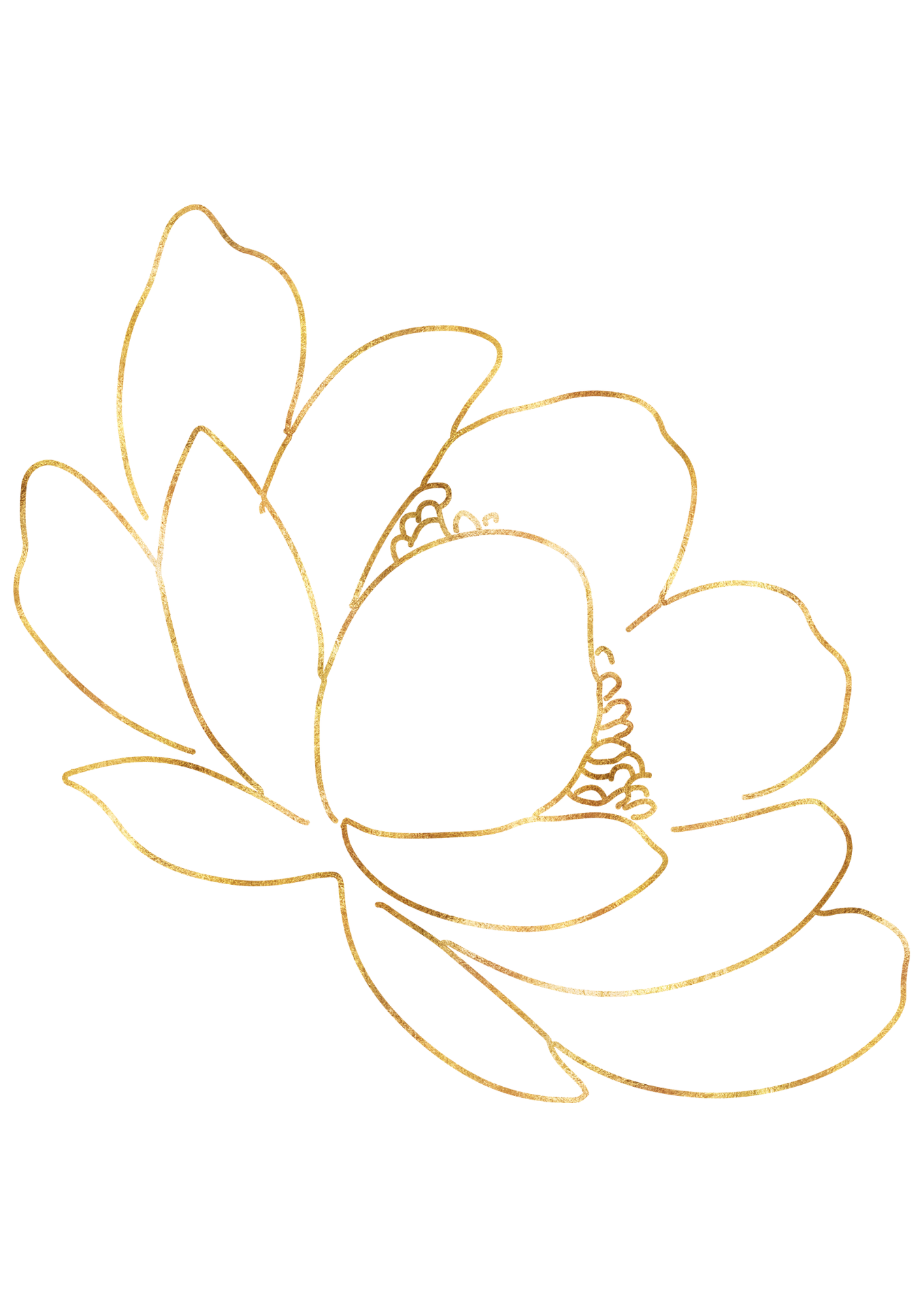 fleur lotus